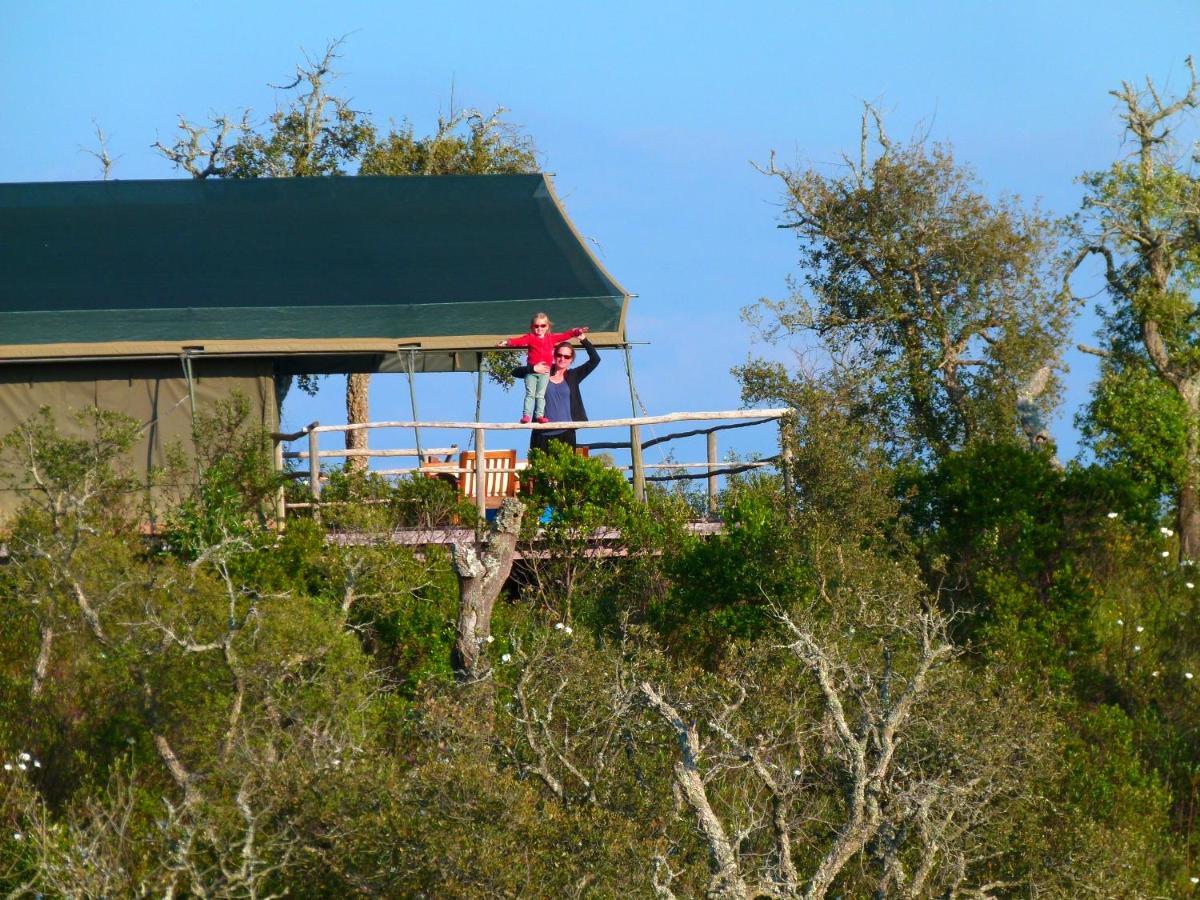 Eco Glamping Portugal Nature Lodge 상루이스 외부 사진