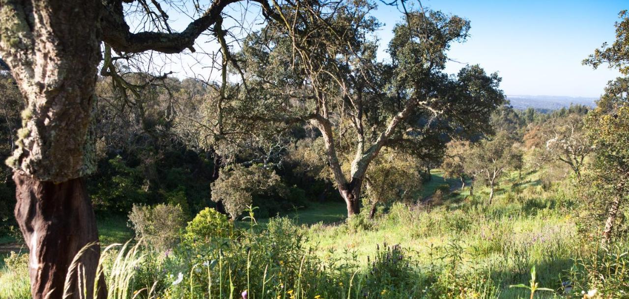Eco Glamping Portugal Nature Lodge 상루이스 외부 사진
