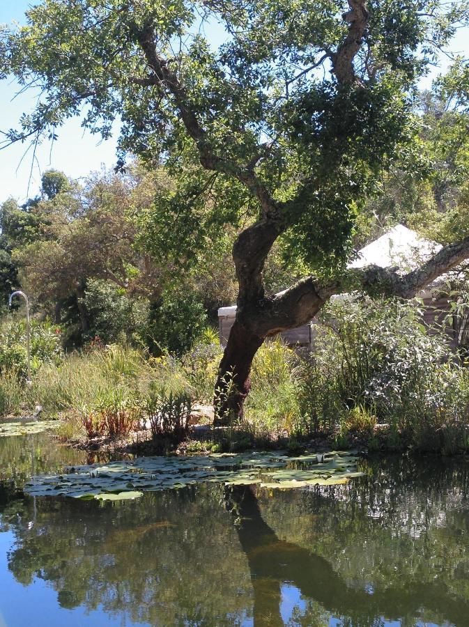 Eco Glamping Portugal Nature Lodge 상루이스 외부 사진