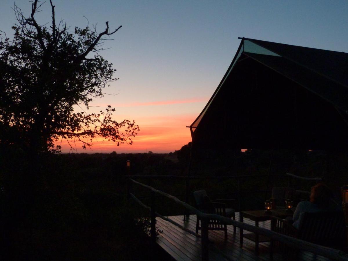Eco Glamping Portugal Nature Lodge 상루이스 외부 사진