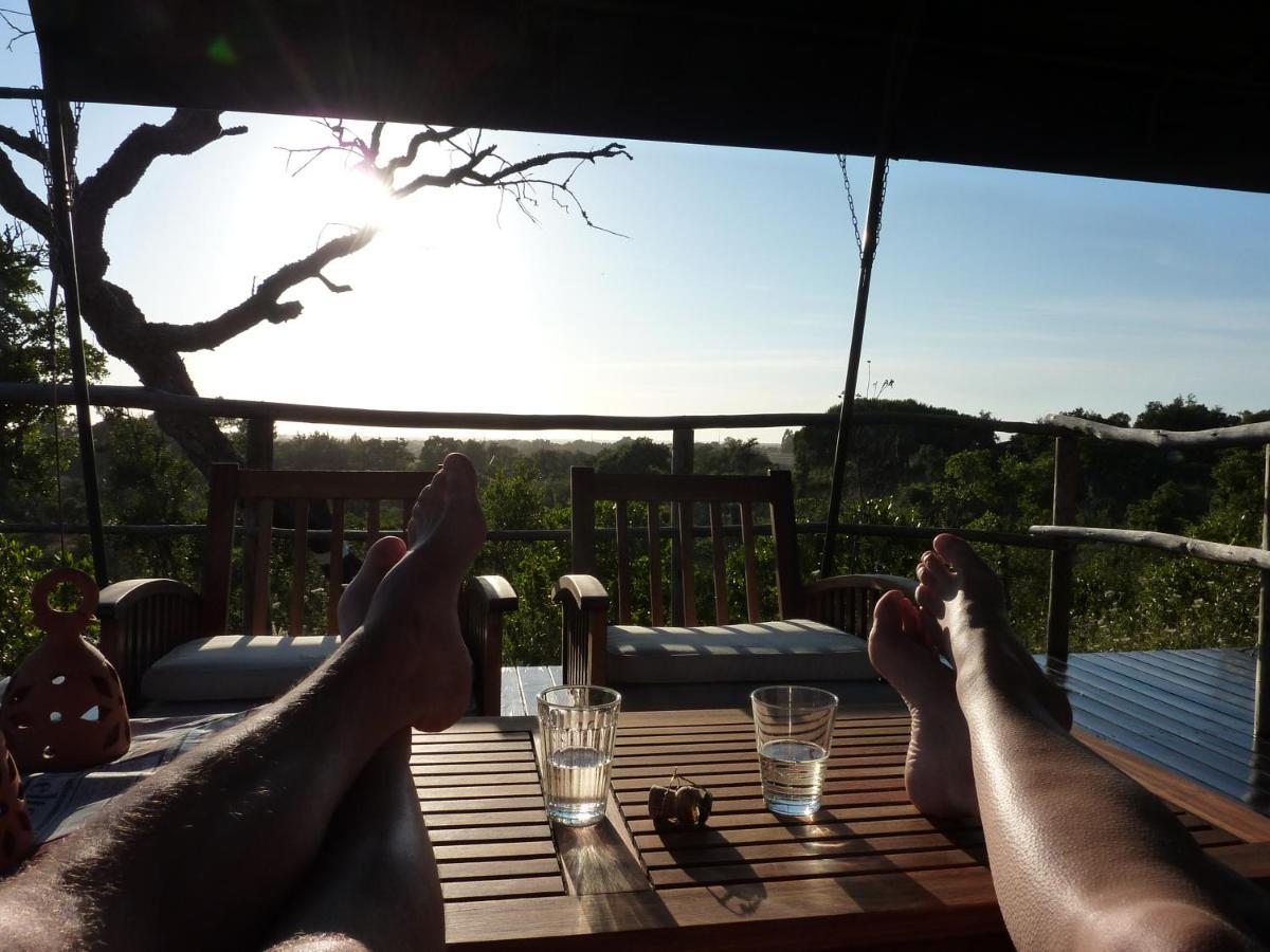 Eco Glamping Portugal Nature Lodge 상루이스 외부 사진