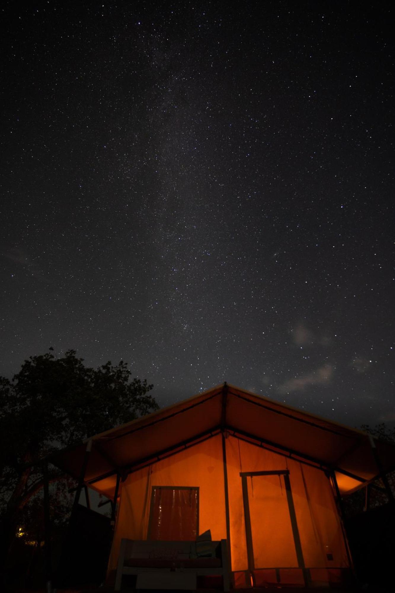 Eco Glamping Portugal Nature Lodge 상루이스 외부 사진